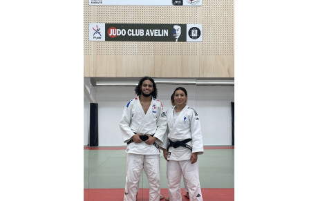 Section JUDO
